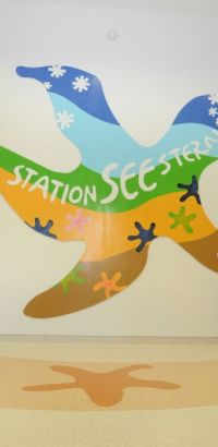 seestern seestern